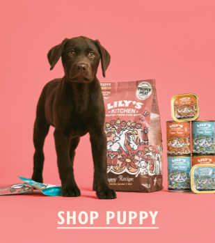 Shop Puppy Menu